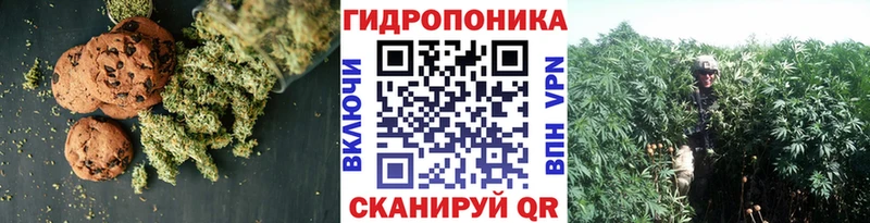 Печенье с ТГК конопля  OMG зеркало  Каргат 