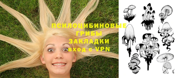 метадон Аркадак