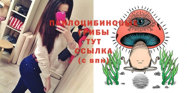 таблы Арсеньев