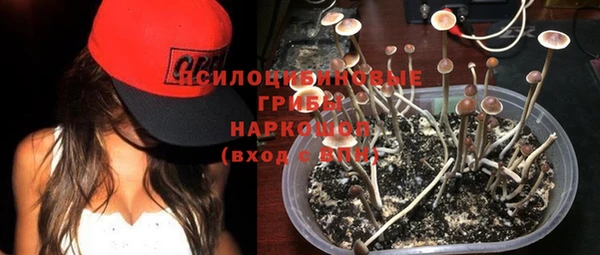 прущая мука Алексин